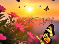 Review: F.ACE – ‘Butterflies’